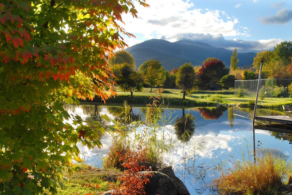 Dreamers Mount Beauty Exterior foto